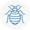 Bed Bug Extermination In Castleford